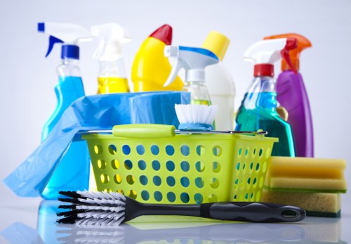 Professional cleaners working in a Hackney home