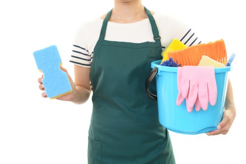 Complaint form and service notes for a cleaning issue