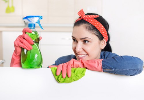Local Hackney cleaners maintaining a family home interior