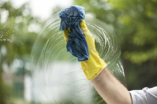 Steam cleaning process by a carpet cleaner in Hackney