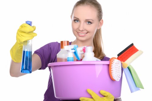 Domestic cleaners in Hackney cleaning a bright living room