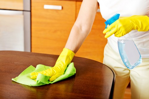 Modern Hackney apartment being cleaned by domestic cleaner